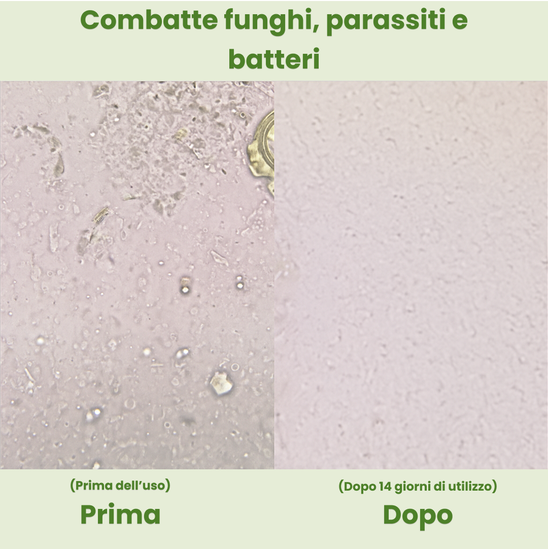 Olea | Capsule di Olio di Origano